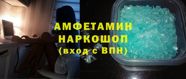 индика Вяземский