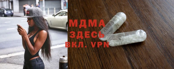 индика Вяземский