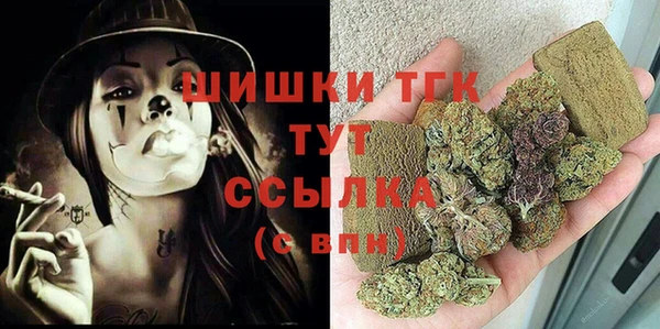 индика Вяземский