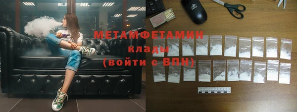 индика Вяземский