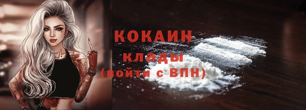 индика Вяземский