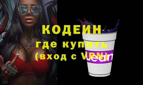 индика Вяземский