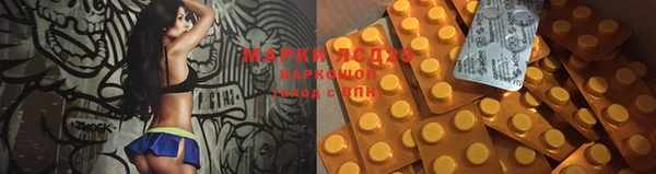 индика Вяземский