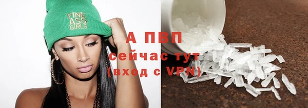индика Вяземский