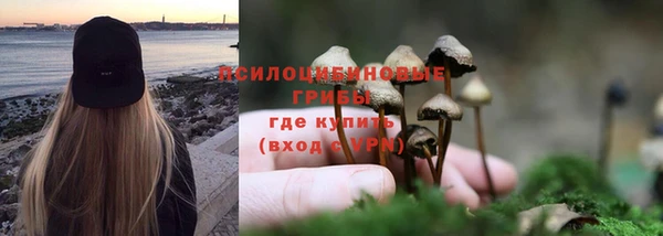 индика Вяземский