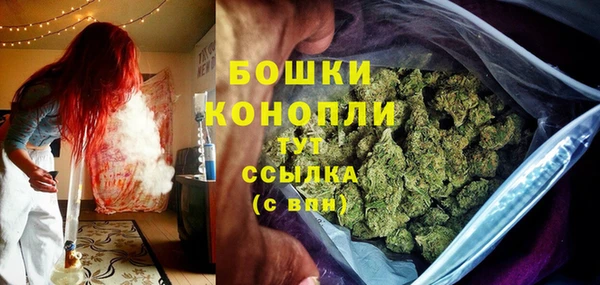 амф Вязьма