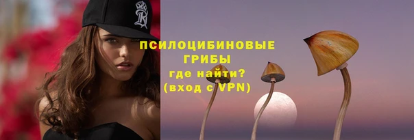 индика Вяземский