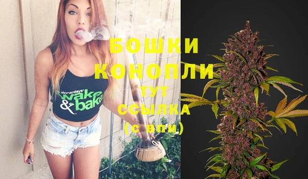 амф Вязьма