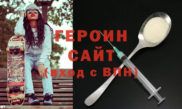 индика Вяземский