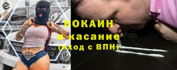 индика Вяземский