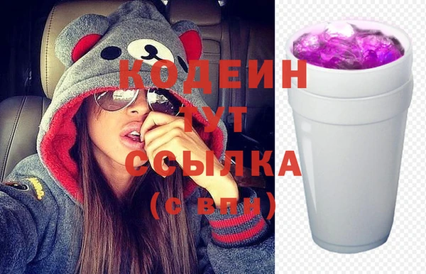 индика Вяземский