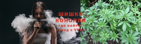 индика Вяземский
