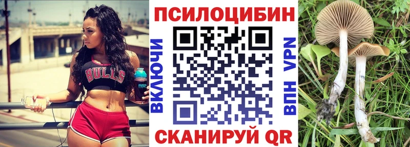 продажа наркотиков  Каменногорск  Псилоцибиновые грибы Psilocybe 